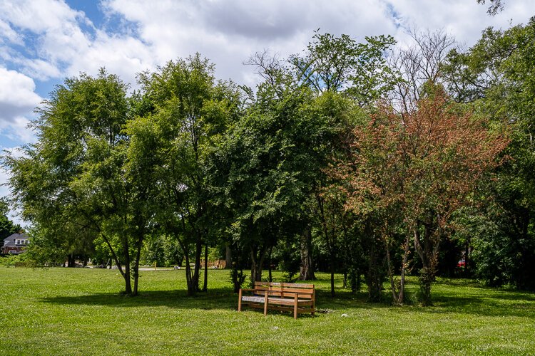 A bench at Bieniek Park. 