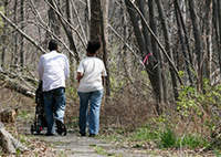 Strolling down the nature trail