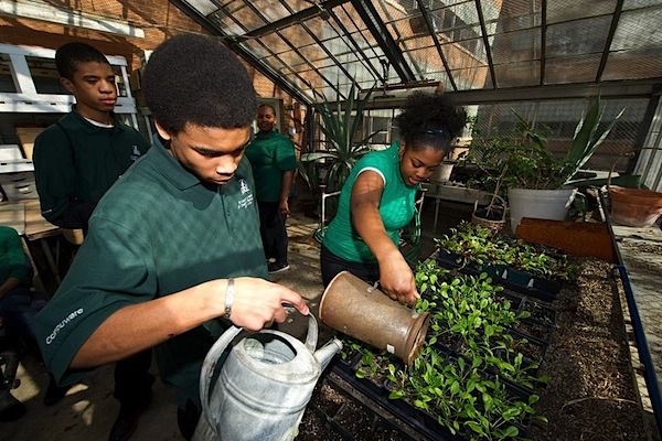 Osborn High students working in a greenhouse