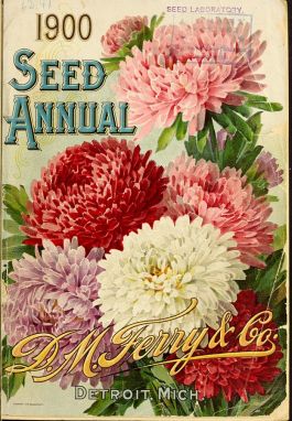 By D.M. Ferry & Co.; Henry G. Gilbert Nursery and Seed Trade Catalog Collection. [CC BY 2.0 (http://creativecommons.org/licenses/by/2.0) or Public domain], via Wikimedia Commons