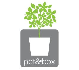 Pot and Box