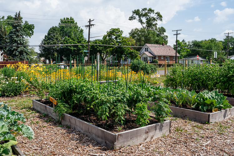 Raised beds at In Memory Of…Community Garden