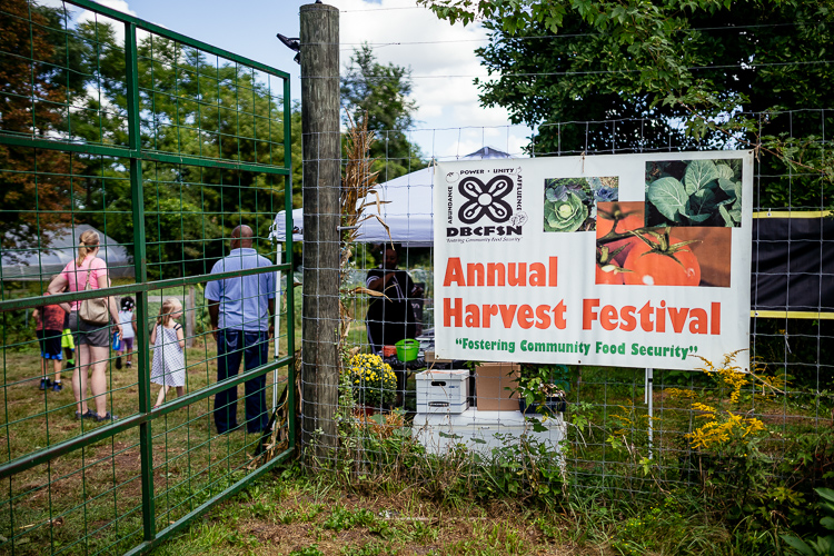 D-Town Harvest Festival