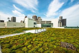 Cobo's green roof is just one aspect of the center's sustainability practices.