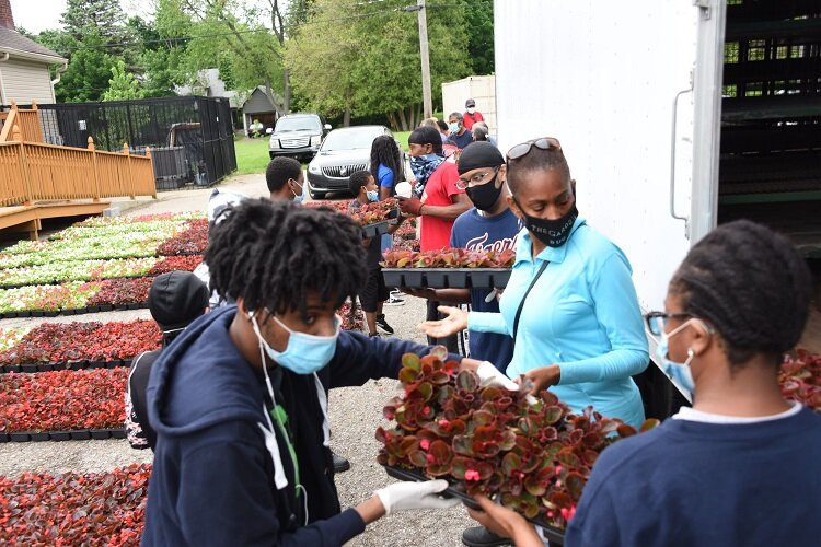 Brightmoor residents look over cartons of locally grown flowers.