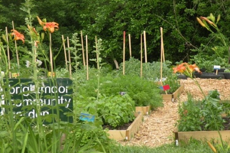 ONe of Brightmoor's many community gardens.