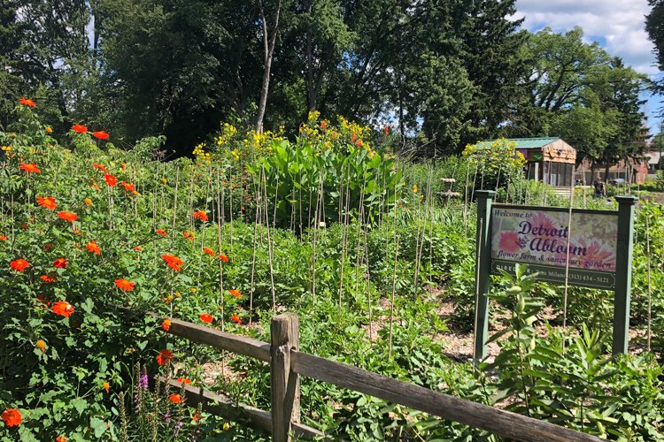 Flower Farm Detroit Abloom Fosters, Fosters Garden Center