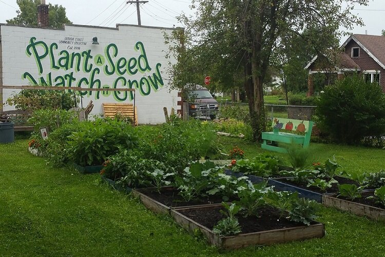 Garden at Georgia Street Community Collective.