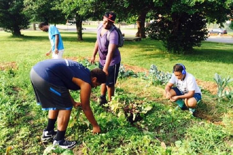 Youth from GenesisHOPE's Young Sprouts program tend an urban garden.
