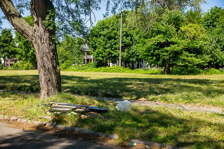 Trash left illegally under a tree.