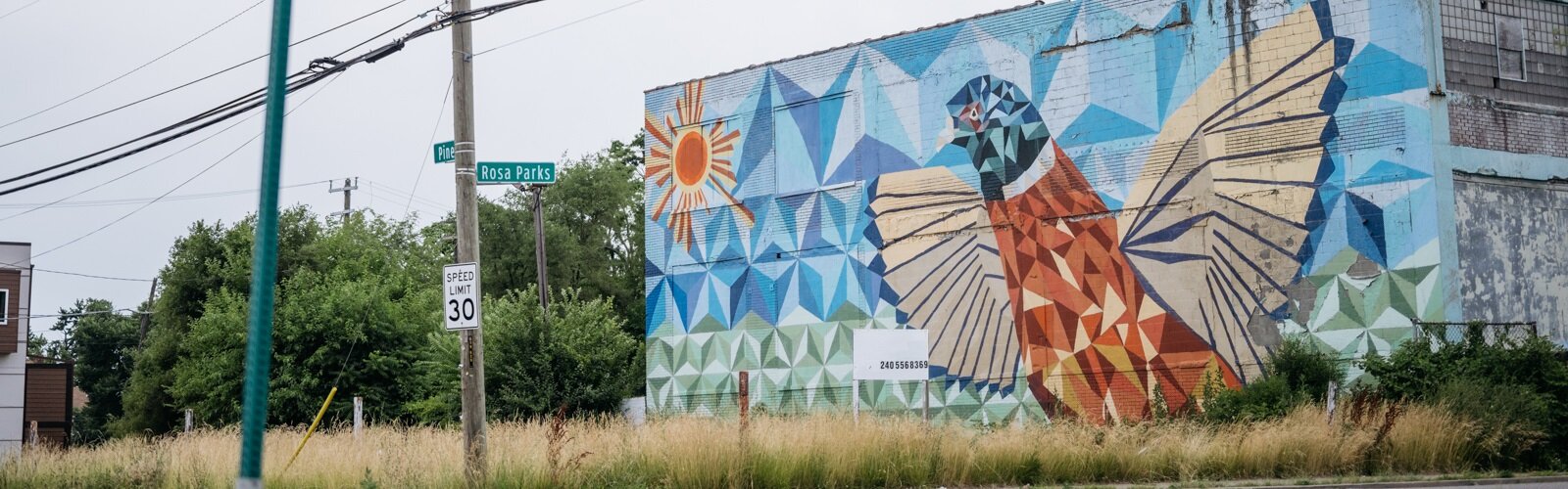 North Corktown Pheasant mural.