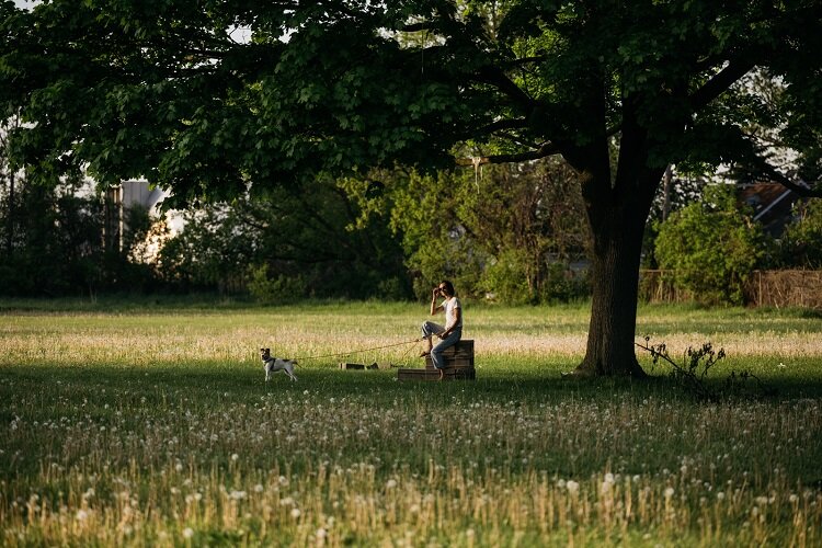 A dogwalker relaxes at Greenview Wadsworth Park.