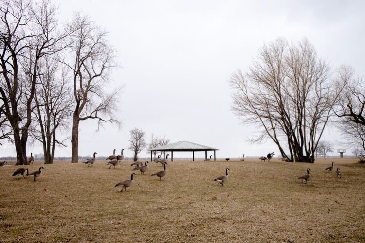 Alfred Brush Ford Park.