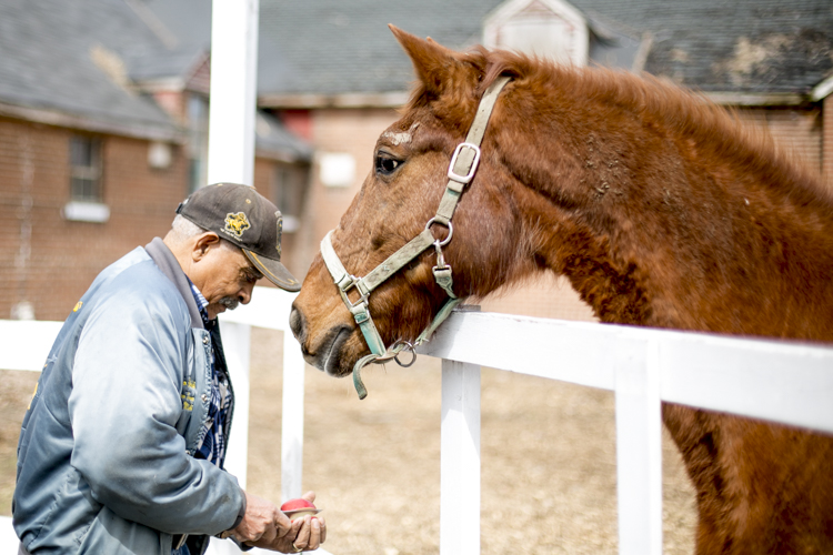 James Mills interacts with a horse.