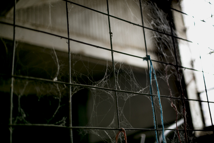 Cobwebs hang inside the barn.