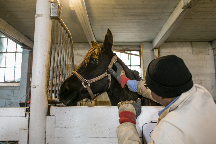 Vernon Smith pets the coat of his horse.