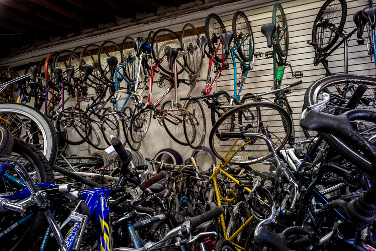 No shortage of bikes at Livernois Bike Shop.