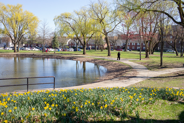 A lovely day by the water at Palmer Park.