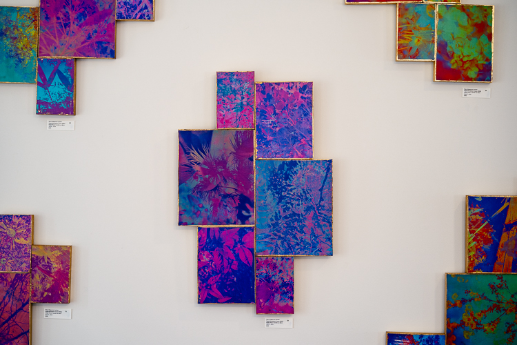 Inside of The Red Gallery, showing Mara Magyarosi-Laytner's work "Hyperstimulation."