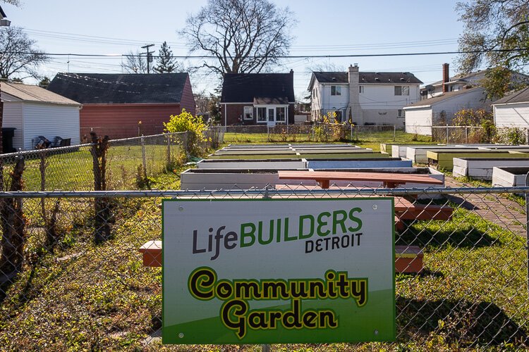 A community garden established by LifeBUILDERS.
