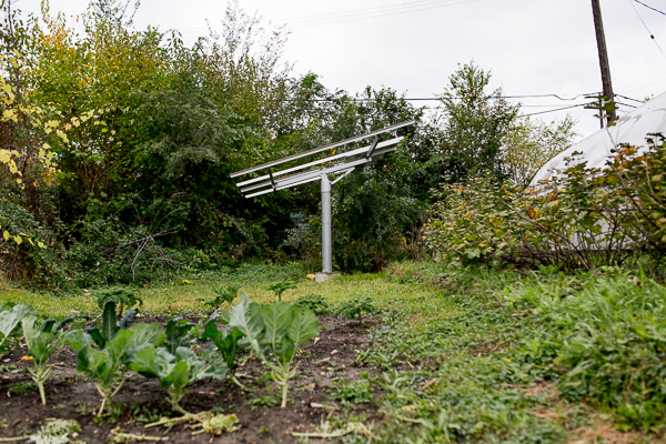 Earthworks Urban Farms