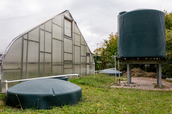 Earthworks Urban Farms