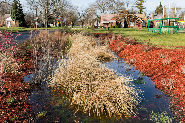 Bioswale at Cody Rouge Park