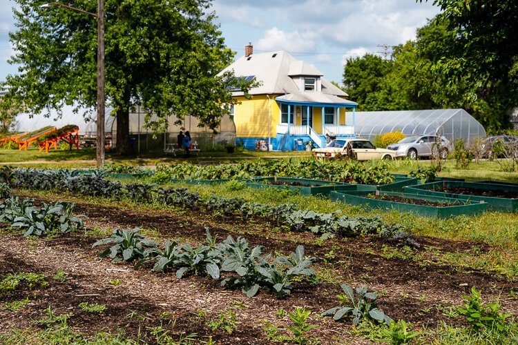 The Oakland Avenue Urban Farm