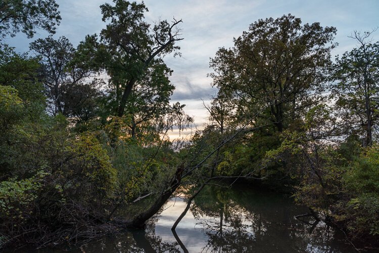 Belle Isle's unique ecological features were the focus of a recent art and science project called Belle Isle and Beyond.