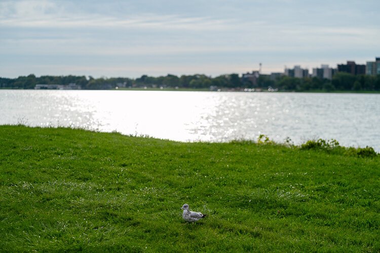 Soundscape ecology can tell us about the biodiversity of a habitat, such as the different kinds of birds that live in the area.