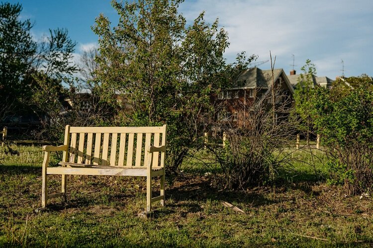 A bench at the Osborn learning garden.