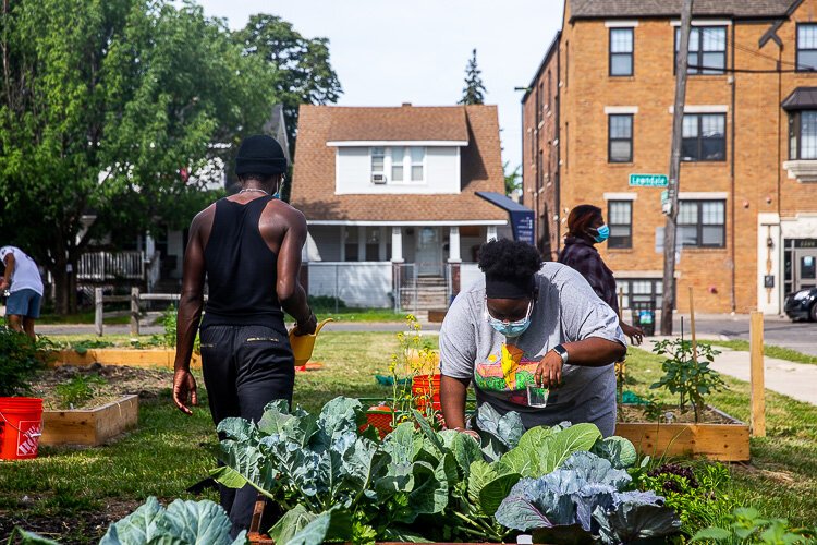 SFC participants water and weed plants at their garden.