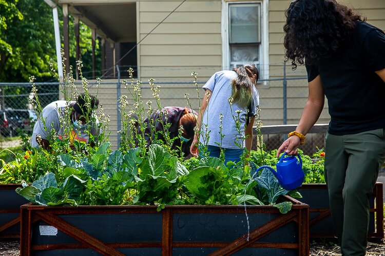 The SFC garden is close to UNI's Lawndale Center.