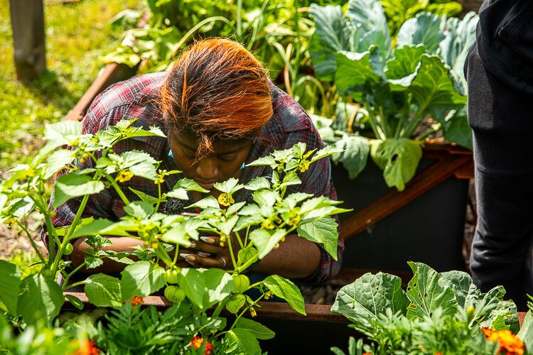 There's lots of food to be found at Viva La Garden.