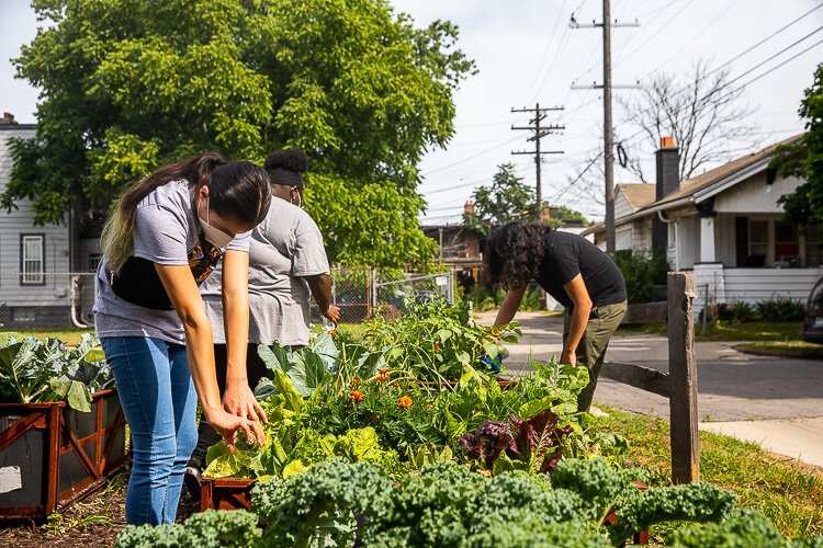 SFC's garden includes kale, tomatoes, peppers and more.