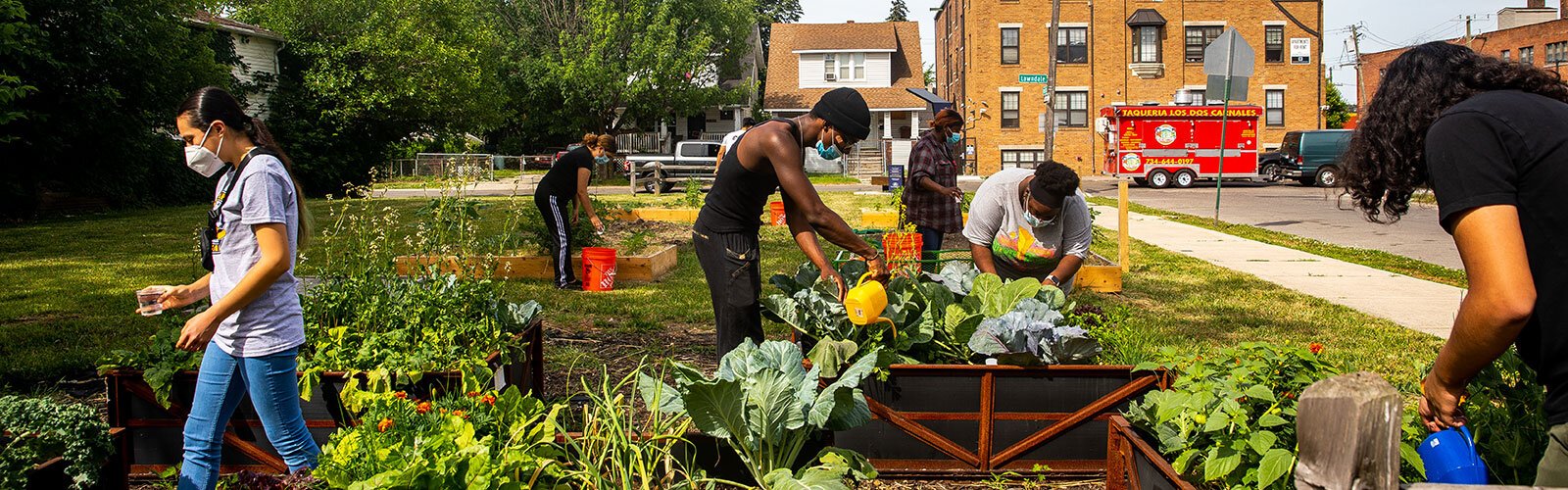 Members of Southwest Food Cultivators tend to their crops.