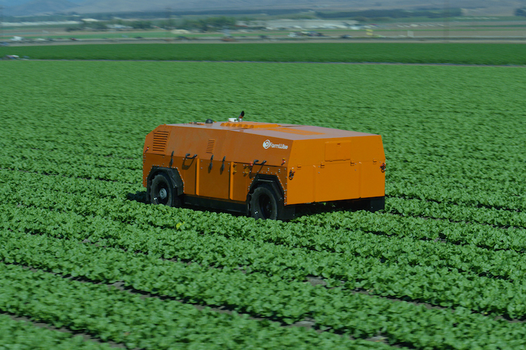 FarmWise is partnering with Roush Industries to manufacture robots to weed crops on large farms, reducing labor and the use of herbicides. Photo courtesy of FarmWise.