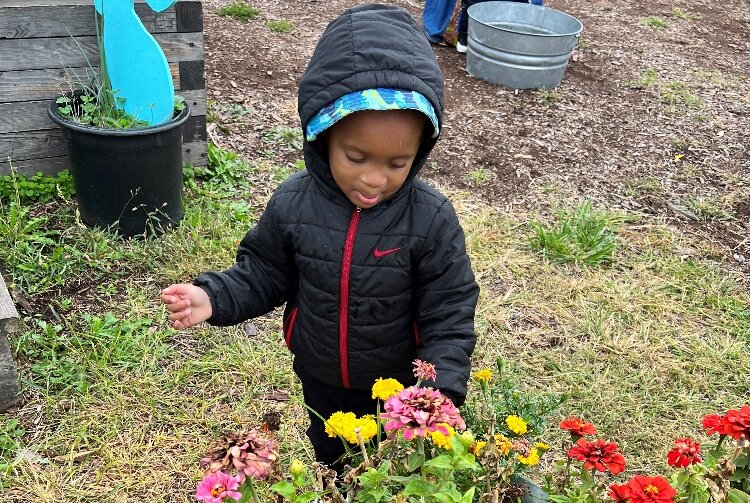 A child explores the garden at House of Joy Childcare in Detroit.