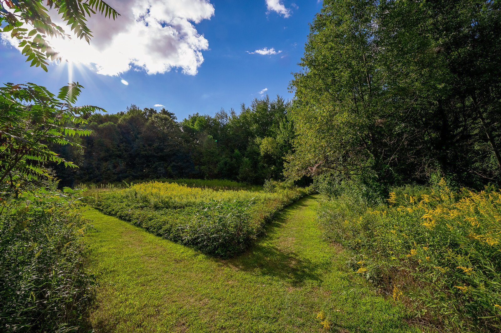 Cranberry Lake Park, Oakland Township. Photo by Doug Coombe.