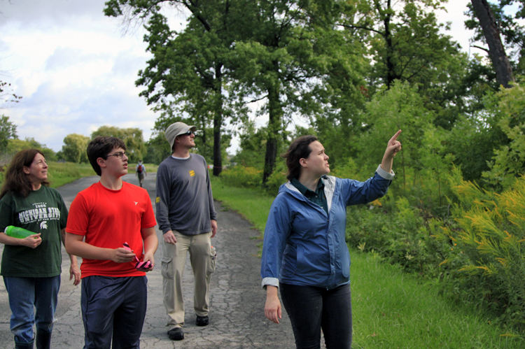 Belle Isle: Volunteers looking up at oak trees to identify Oak Wilt. Photo by Imad Hassan. 
