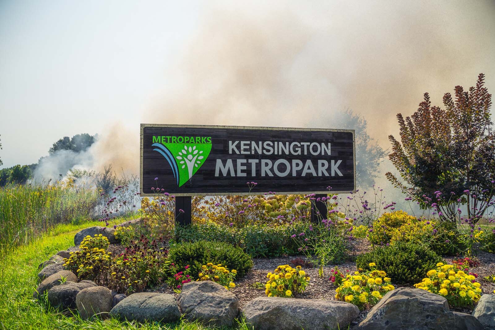 A prescribed burn at Kensington Metropark.