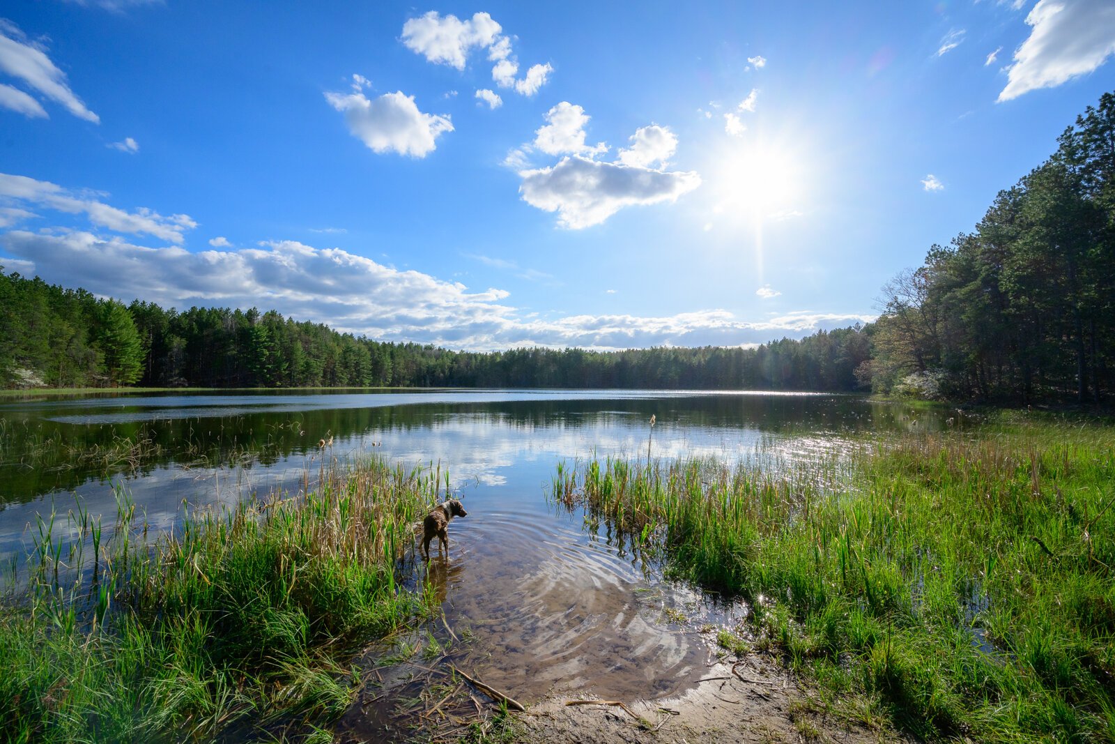 Ford Lake