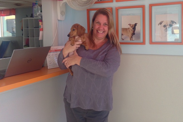 Liz Blondy, owner of Canine to Five