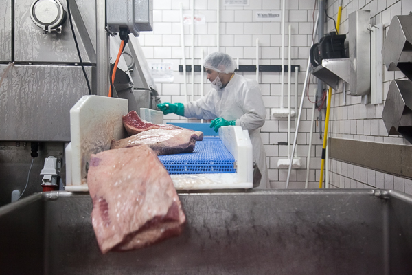 A production conveyor at Grobbel's