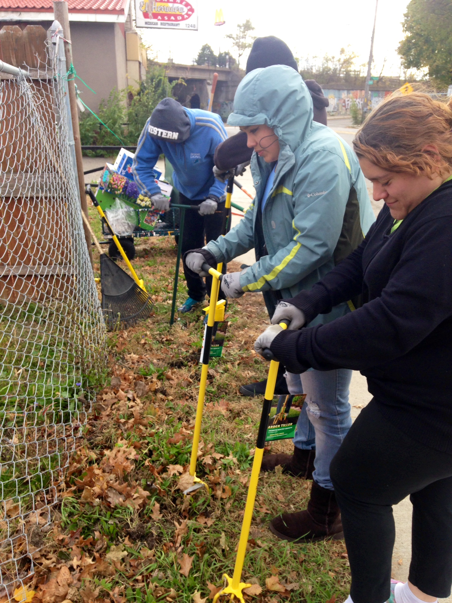 Bulb planting in Springwells