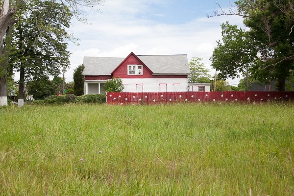 Prairie in Poletown