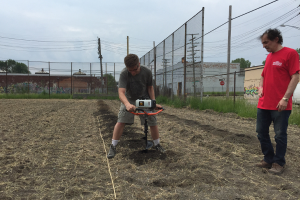 Vineyard tilling