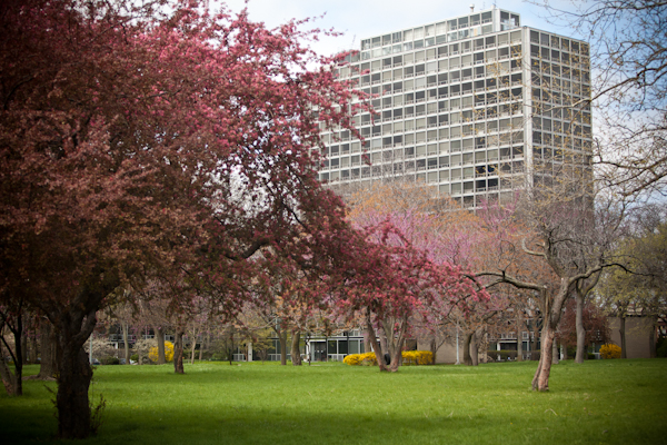 Lafayette Towers