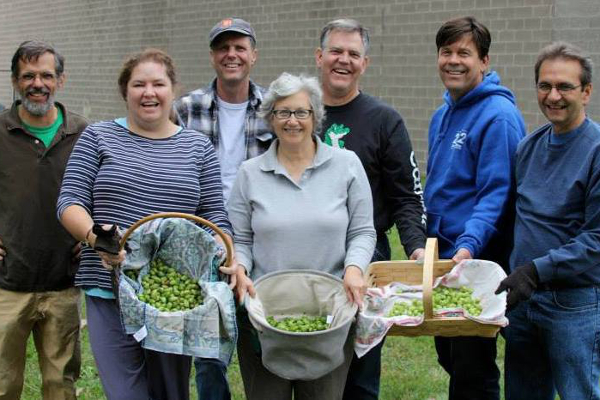 Ribbon Farm Hops