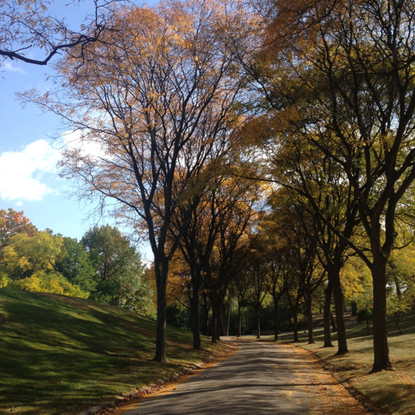 Historic Elmwood Cemetery